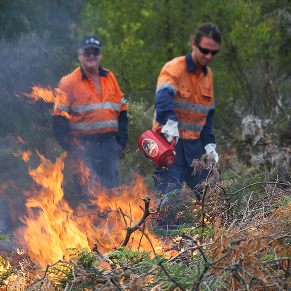 2022 04 Bayside controlled burn grid BRHS