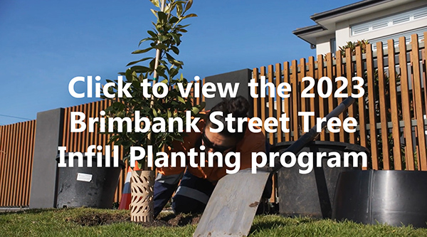 2023 Citywide Brimbank Tree Planting Program link button image