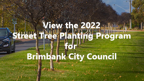Brimbank Street Tree Planting w600px Brimbank Street Tree Planting Program