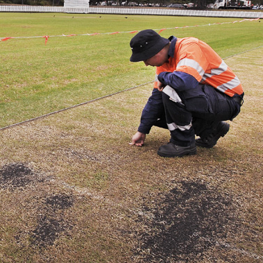 Citywide Cricket Markers initiative Citywide Cricket Markers initiative