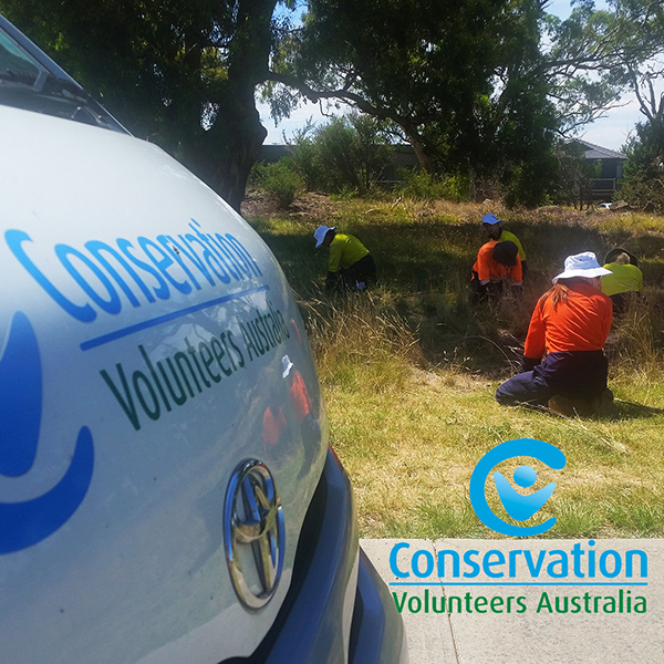 Citywide Conservation Volunteers Australia