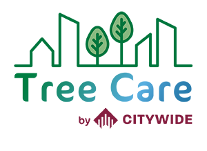 Tree Care by Citywide logo