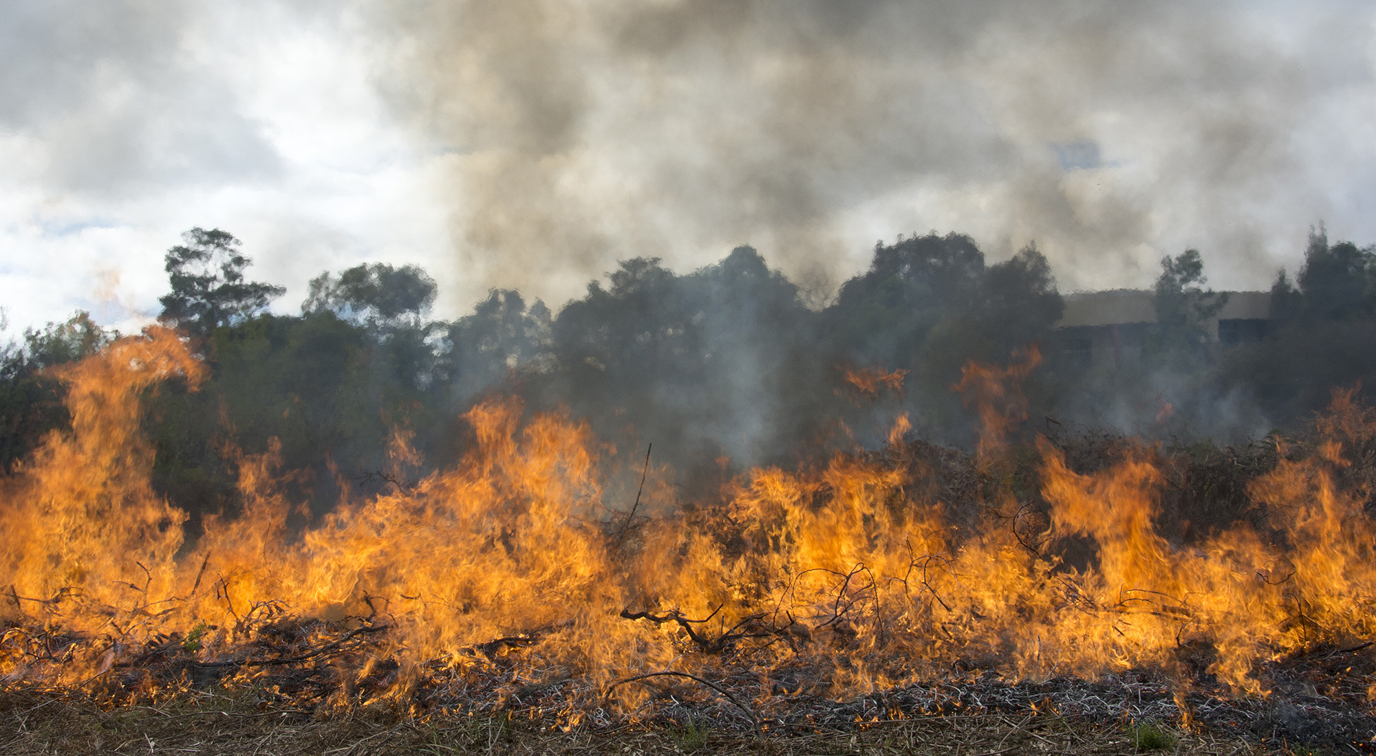 2021 04 26 Bayside controlled burn banner 2021 04 26 Bayside controlled burn banner