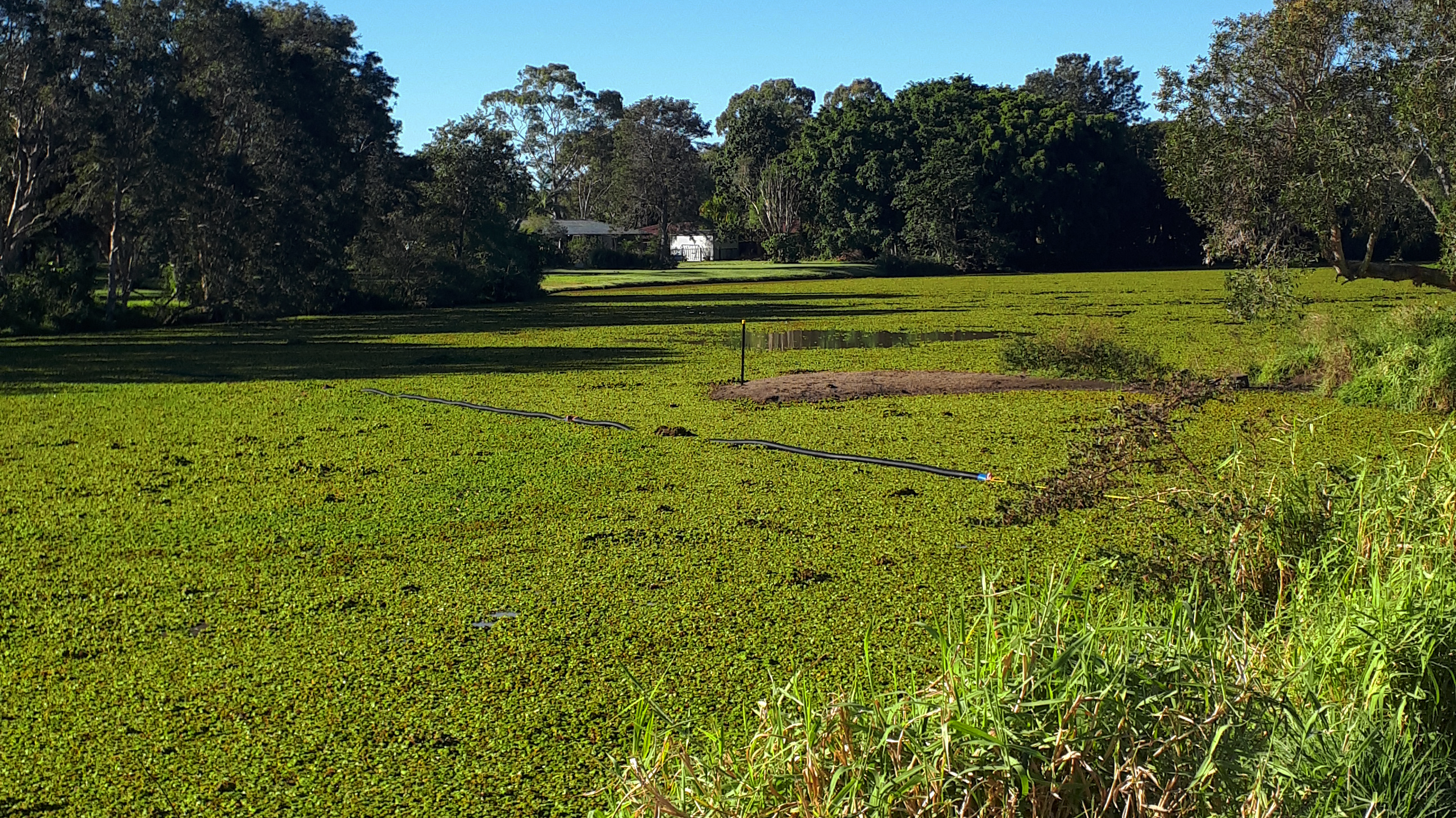Technigro Byron Shire lake