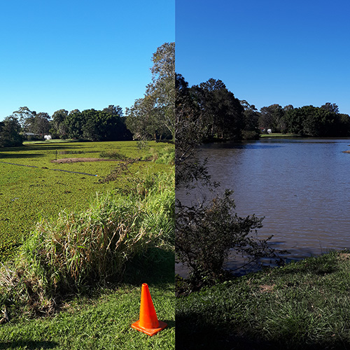 Technigro Byron Shire Weed Lake