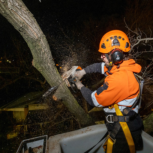 2021 04 Citywide Melbourne Trees Night Works grid