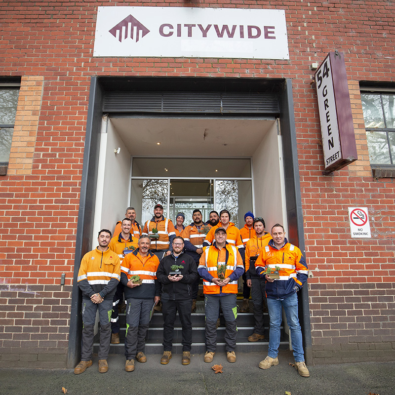 2022 Citywide Arborist Apprentices Green Collar