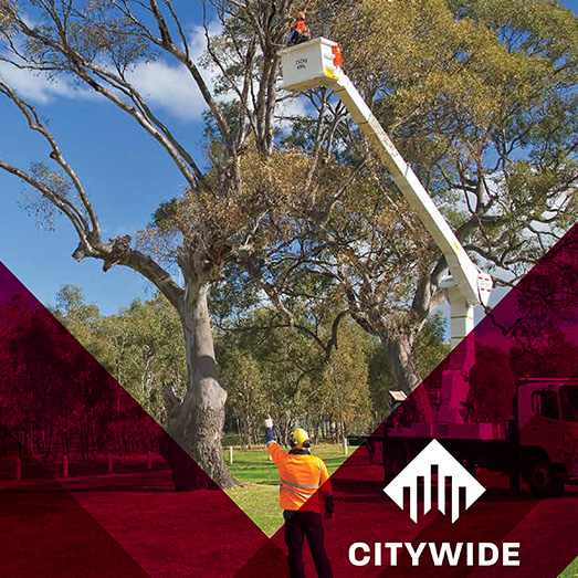 Citywide 2018 Annual Report Citywide 2018 Annual Report