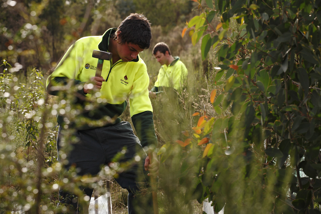 Citywide LGA capital Works Jarryn Pittonet apprentice pic2