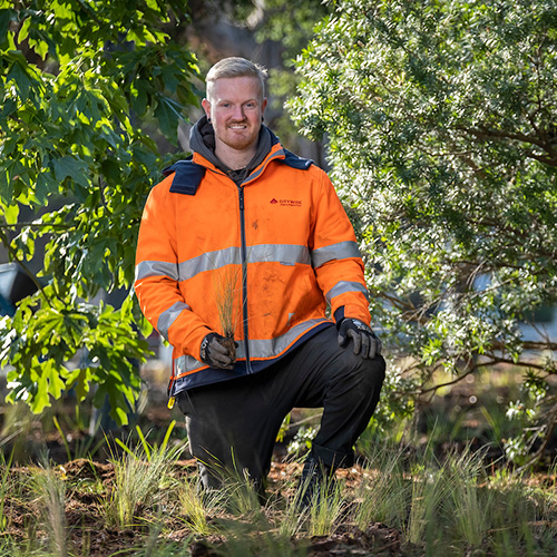 Citywide WFV Greening Melb Byron Richardson grid